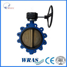 Groove End Resilient Seat Offset Double Flange Butterfly Valve
